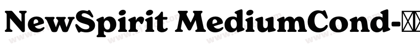 NewSpirit MediumCond字体转换